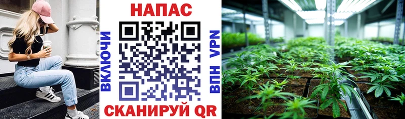Шишки марихуана VHQ  где можно купить   кракен ONION  Адыгейск 